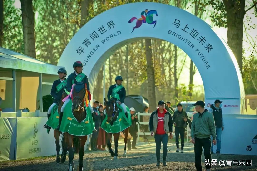 2019香港马会全年资料大全，赛场风云与慈善盛举的精彩回顾香港2021年马会资料