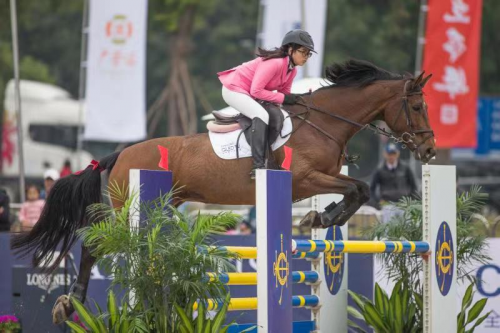 2019年香港马会最快开奖结果，速度与公正的完美结合香港马 会开奖结果新闻