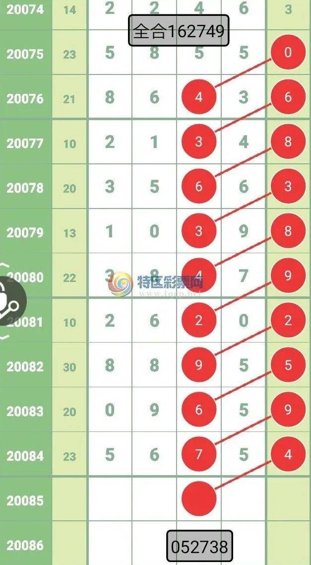 蓝月亮四肖八码精选资料，揭秘数字游戏中的智慧与策略蓝月亮四肖八码精选资料的2024年