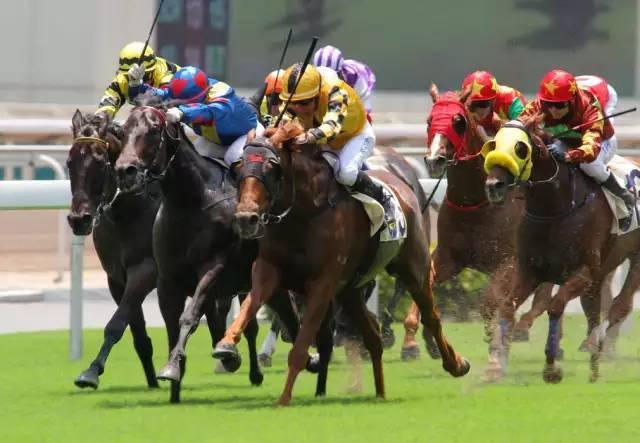 2019年香港马会开奖记录与结果分析2019香港码开奖历史记录