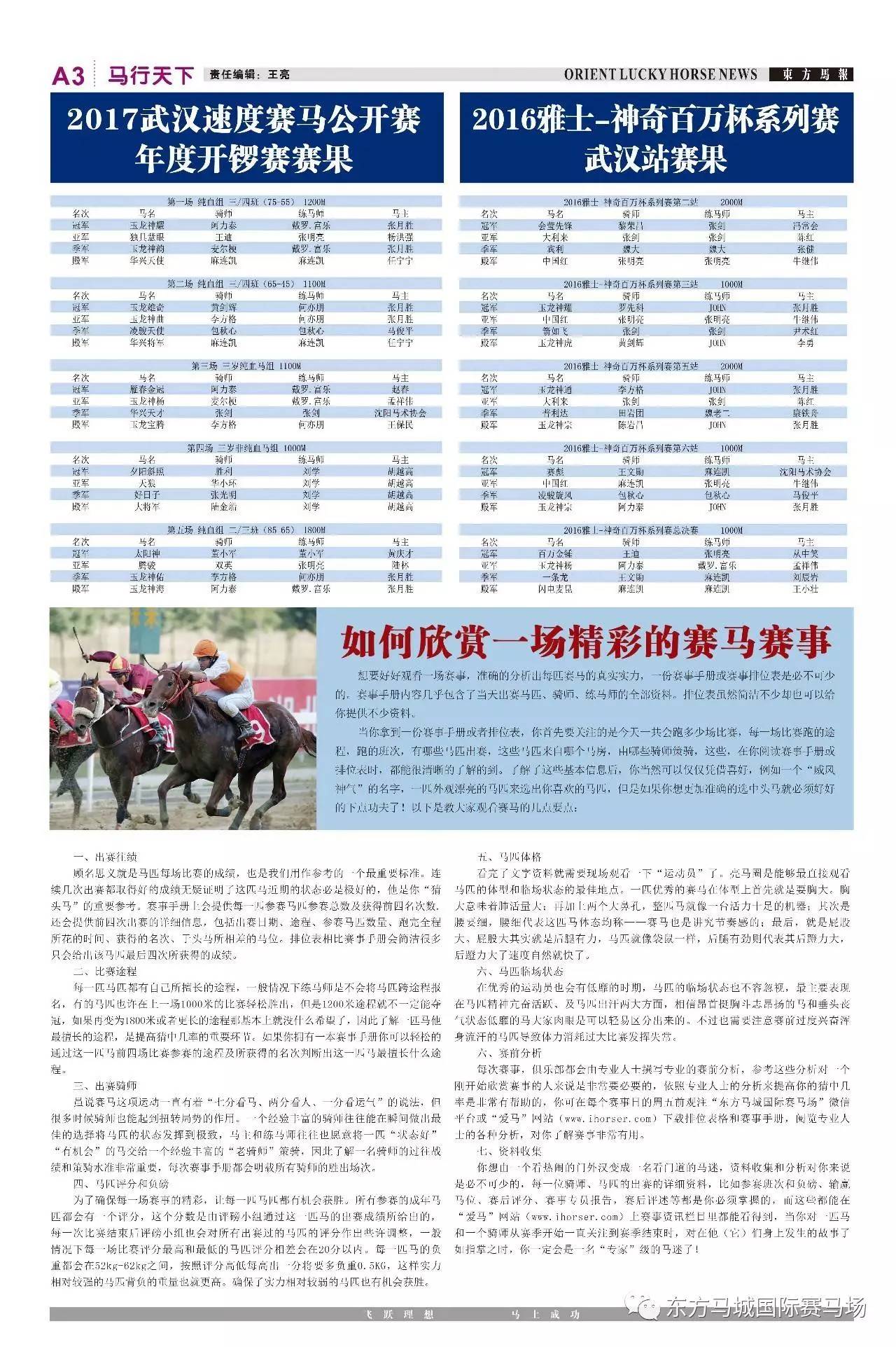 2019马会正版资料，全面解析与深度解读2020年正版马会全年资料小说