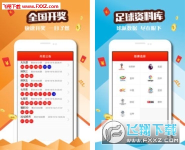 2048新澳门天天开好彩大全，正版玩家的智慧之选2024新澳门天天开好彩大全正版羽绒服冼后怎样才能恢复
