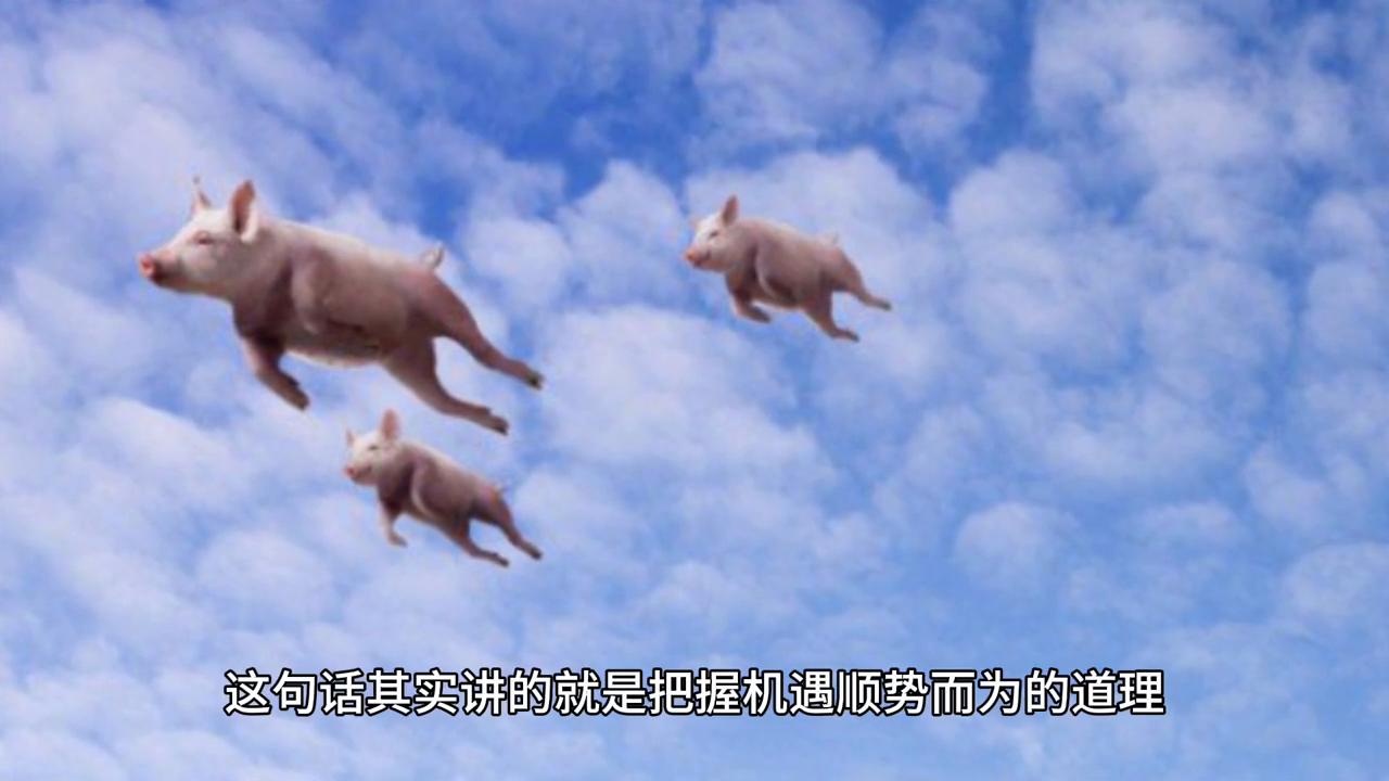 2043年新奥今晚开奖预测，理性与概率的交织2024新奥今晚开什么号