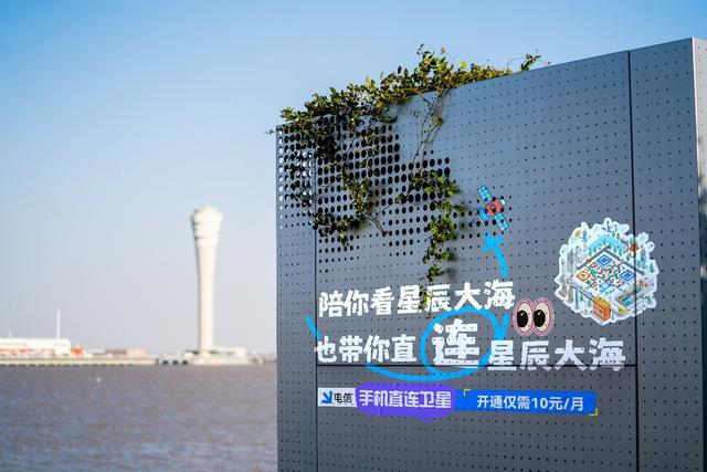 澳门彩8694.COM，探索数字背后的文化与娱乐魅力澳门彩历史开奖记录查询五行属