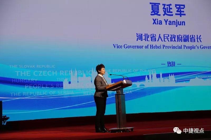捷克论坛，分享王国中的智慧碰撞与文化交融捷克论坛分享王国 最新IP