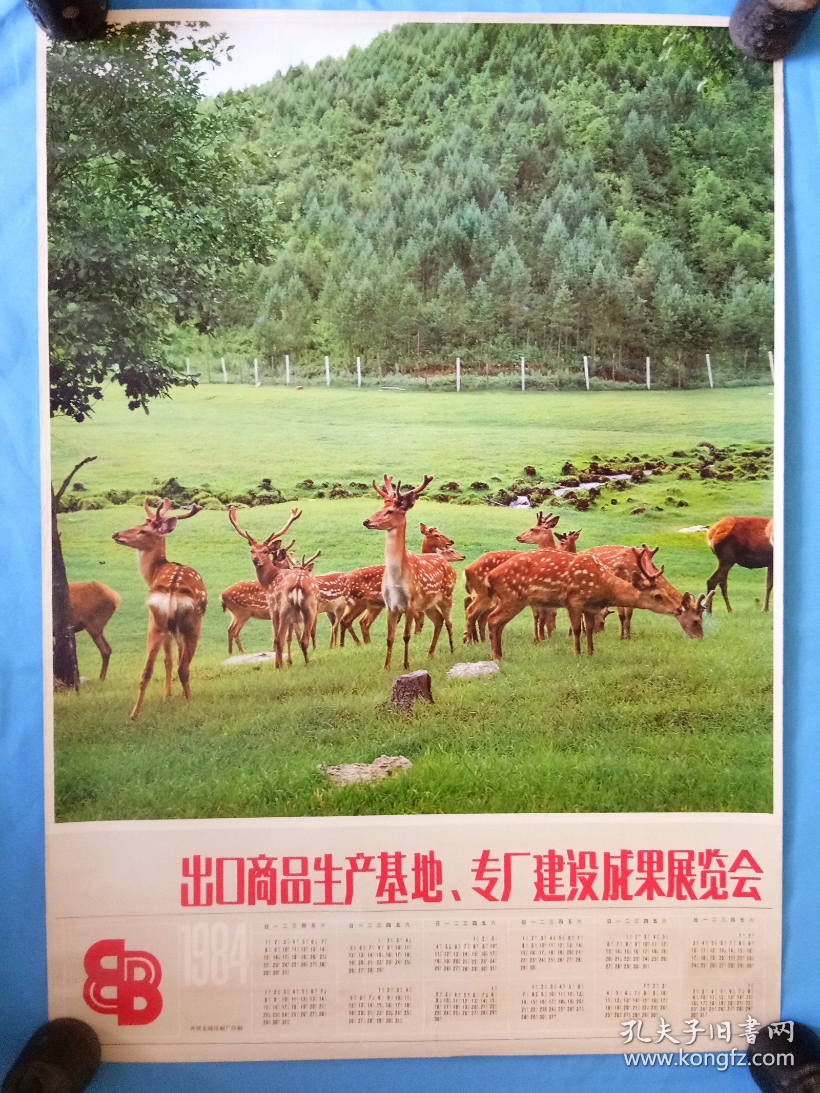 澳门文化奇观