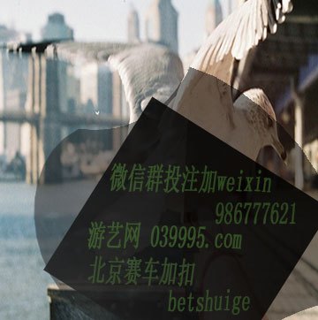 2046年新奥历史开奖记录，第18期—数字背后的传奇与未来展望2024新奥历史开奖记录28期3D