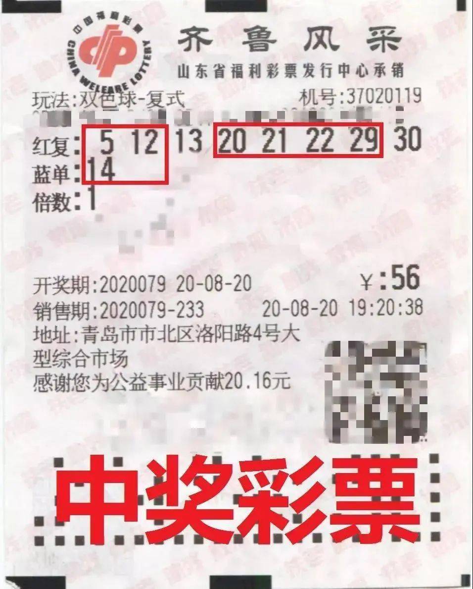 今晚已开特马，揭秘彩票背后的故事与理性态度今晚已开特马 开奖结果 wap.wyjskx.icu