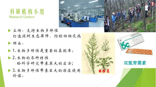 免费资料大全，香港曾道之宝库香港曾道免费资料大全