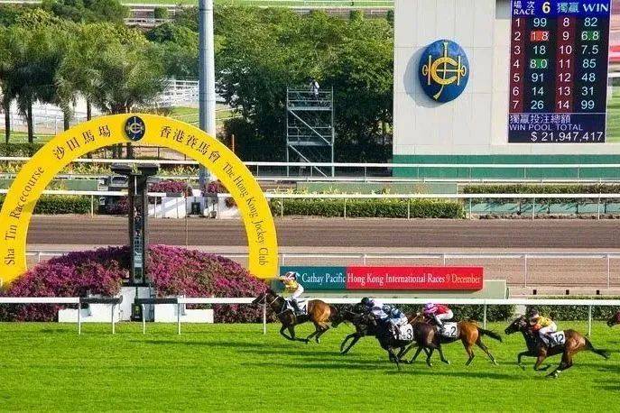 探索香港马会资料，历史、文化与现代影响香港赛马会资料信息唯一官方网站