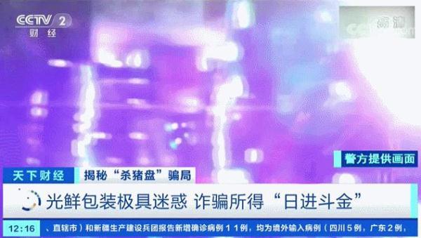 管家婆精准一肖与理性投资，揭开神秘面纱