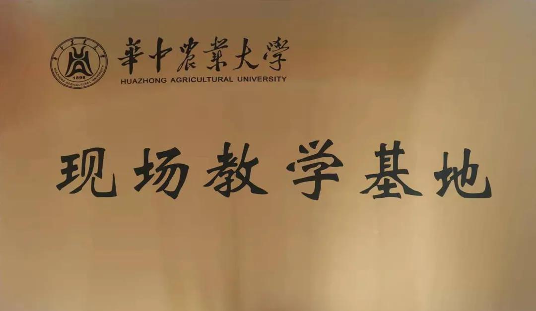 2016年一句真言，正版数码挂牌的未来展望正版数码挂牌一句真言2017