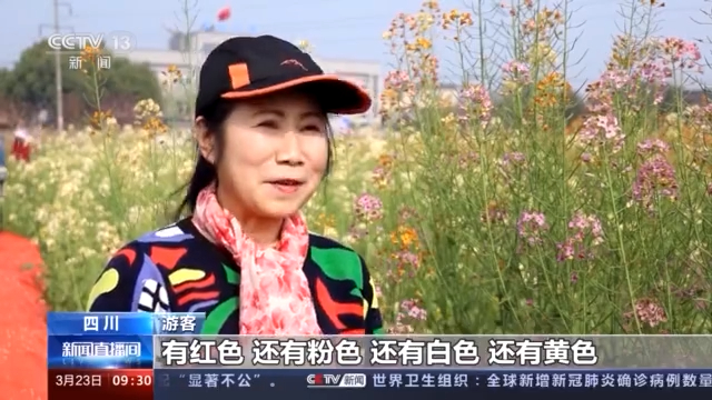 12色魅力，解锁厠图印刷的色彩新境界118彩色厍图印刷香港223年开奖弟一期此100期