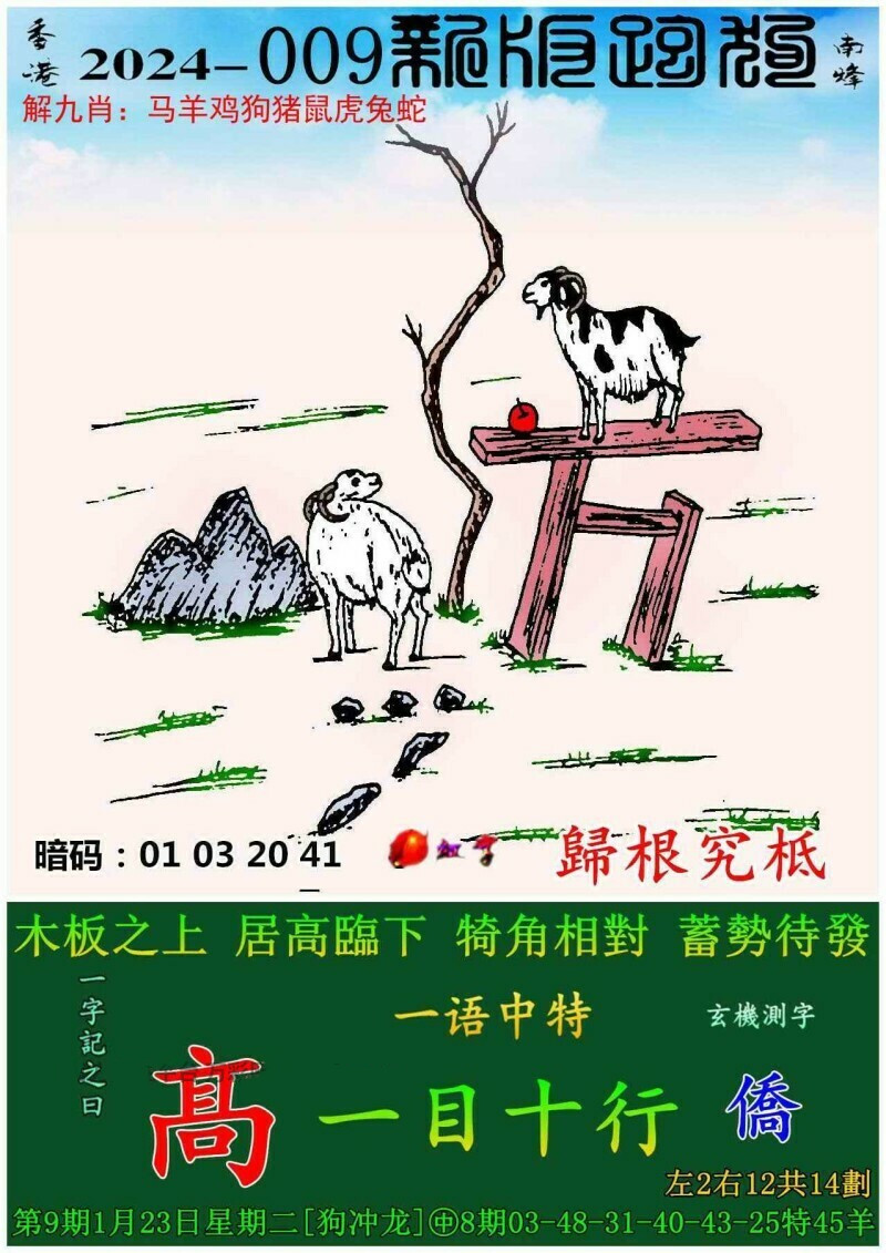 探索新跑狗高清彩图，一场视觉与智慧的盛宴新跑狗图 高清 自动更新