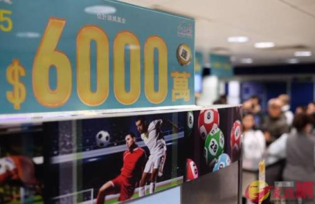 探索香港金多宝，资料大全全网解析香港金多宝免费图片资料