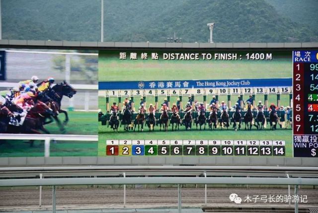香港马会2019资料大全，全面解析与深度解读香港2021年马会资料大全