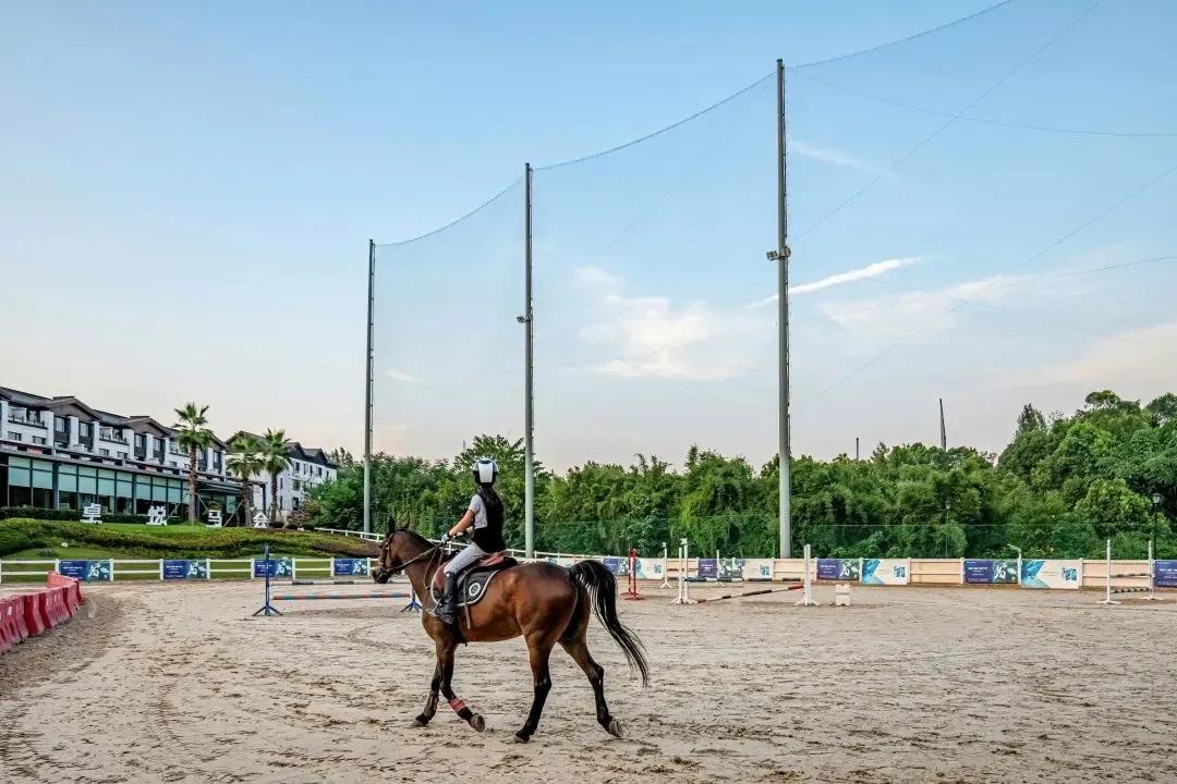 探索香港马会2019，一场精彩纷呈的赛事盛宴香港2021年马会资料大全