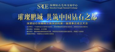 2043年，展望未来彩票的科技与人文融合—以澳门今晚开奖号码为例2024年澳门今晚开奖号码现场直播