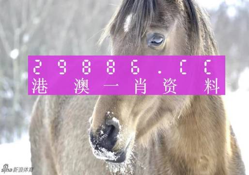 澳门最准一肖