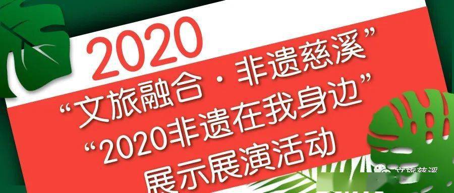 今晚特马揭秘，探索彩票背后的趣味与期待今晚开什么特马肖