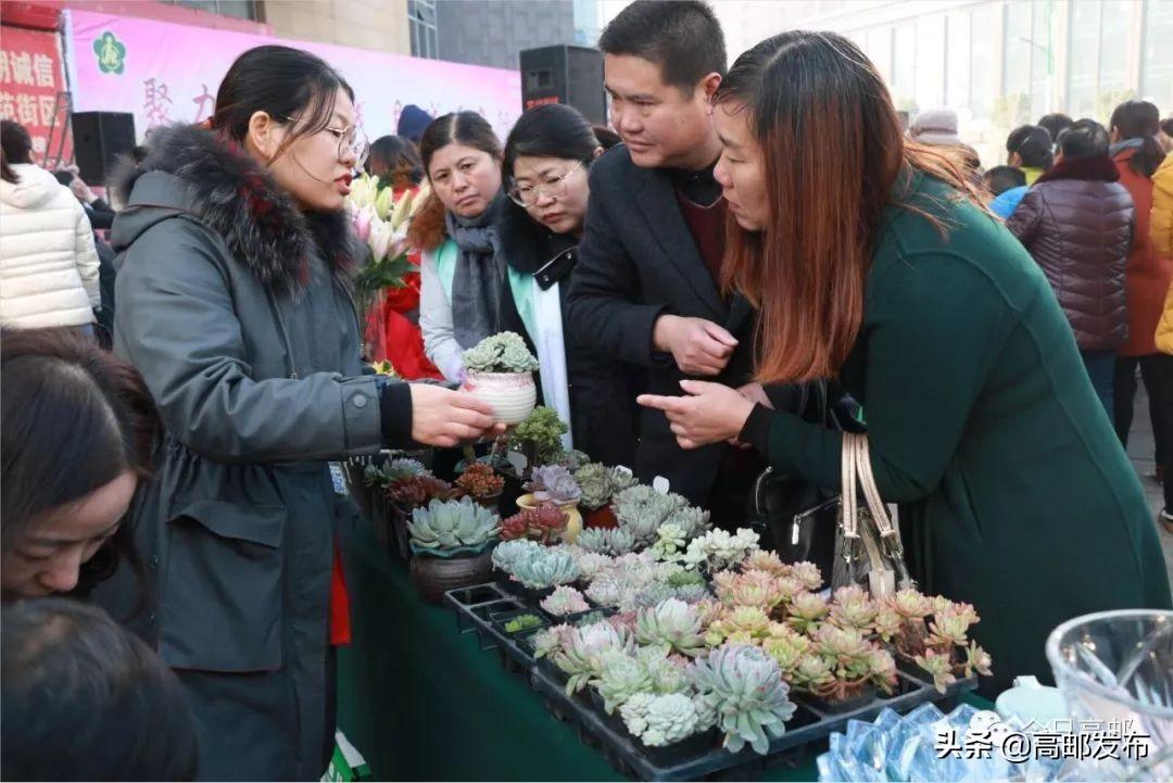 揭秘一码与生肖的奥秘—103期精准预测一码一肖100准确使用方法十二生肖