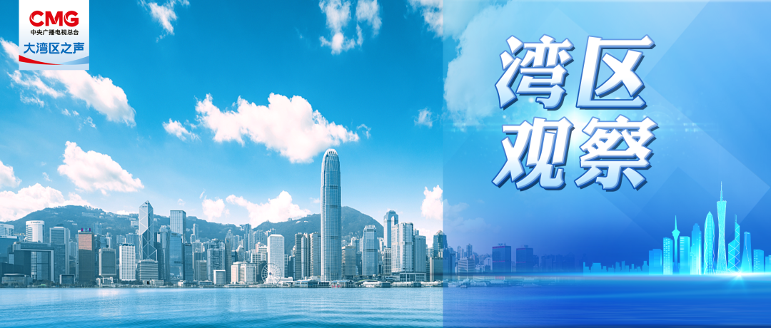 开奖结果揭秘