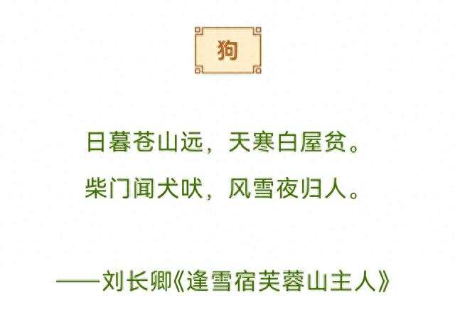 探秘白小姐49，一句诗中的精准奥秘白小姐449999精准一句诗的预测与对应生肖
