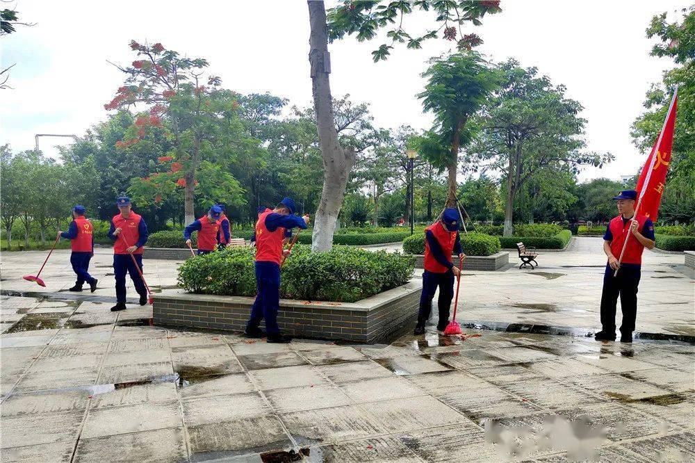 精选二四六天天资料，打造高效学习与工作生活的智慧宝典精选二四六天天资料四不像
