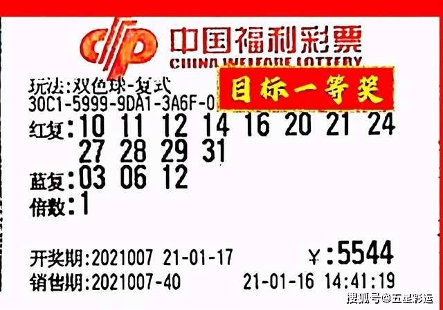六肖中特