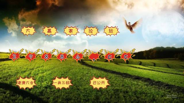 2048年新澳门开奖记录，今日查询结果揭秘澳门142期开奖结果