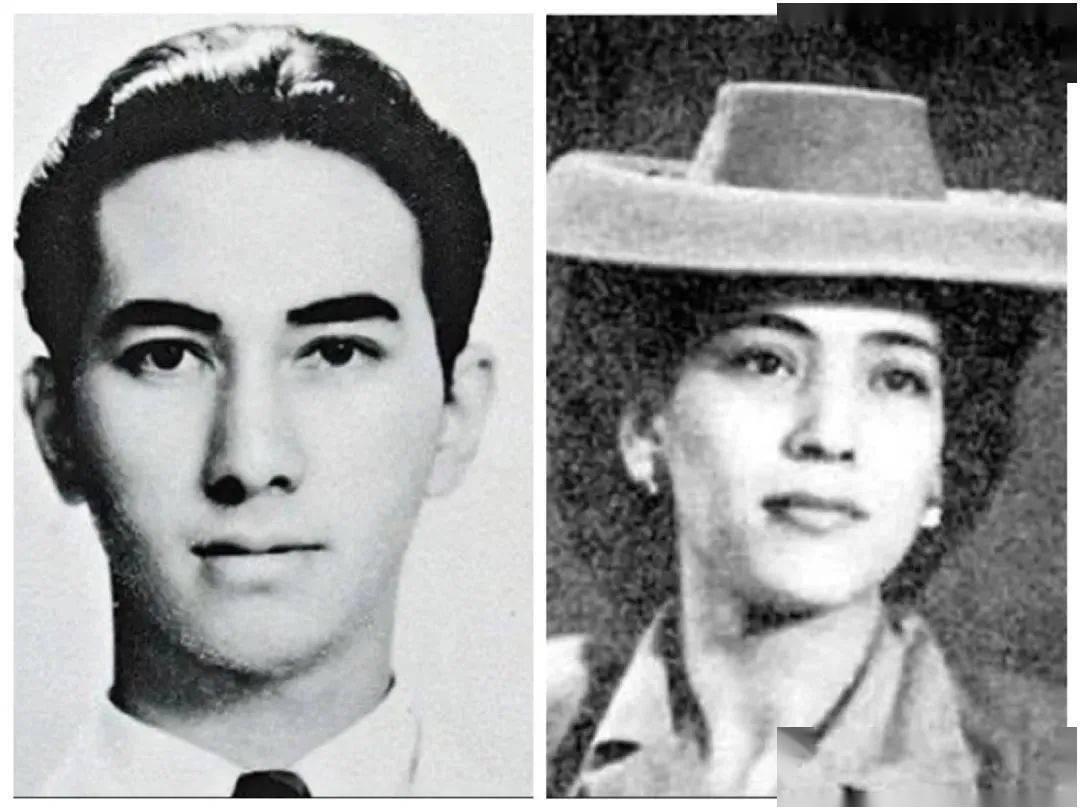 澳门新历史，二八图厍的在线探索之旅与文化传承之谜（上篇）探寻澳门的独特魅力与发展轨迹澳门2o20年另版资料