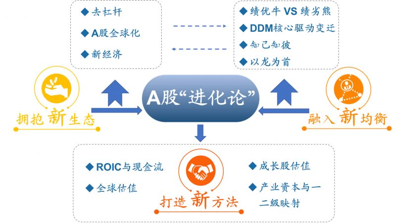 澳门新历史，最近十期回顾与解析新澳门历史记录查询最近十期767