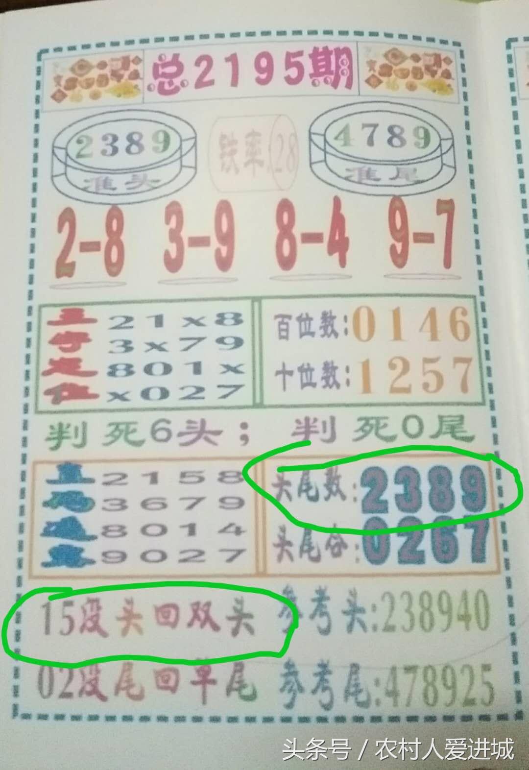 2025年5月28日 第5页