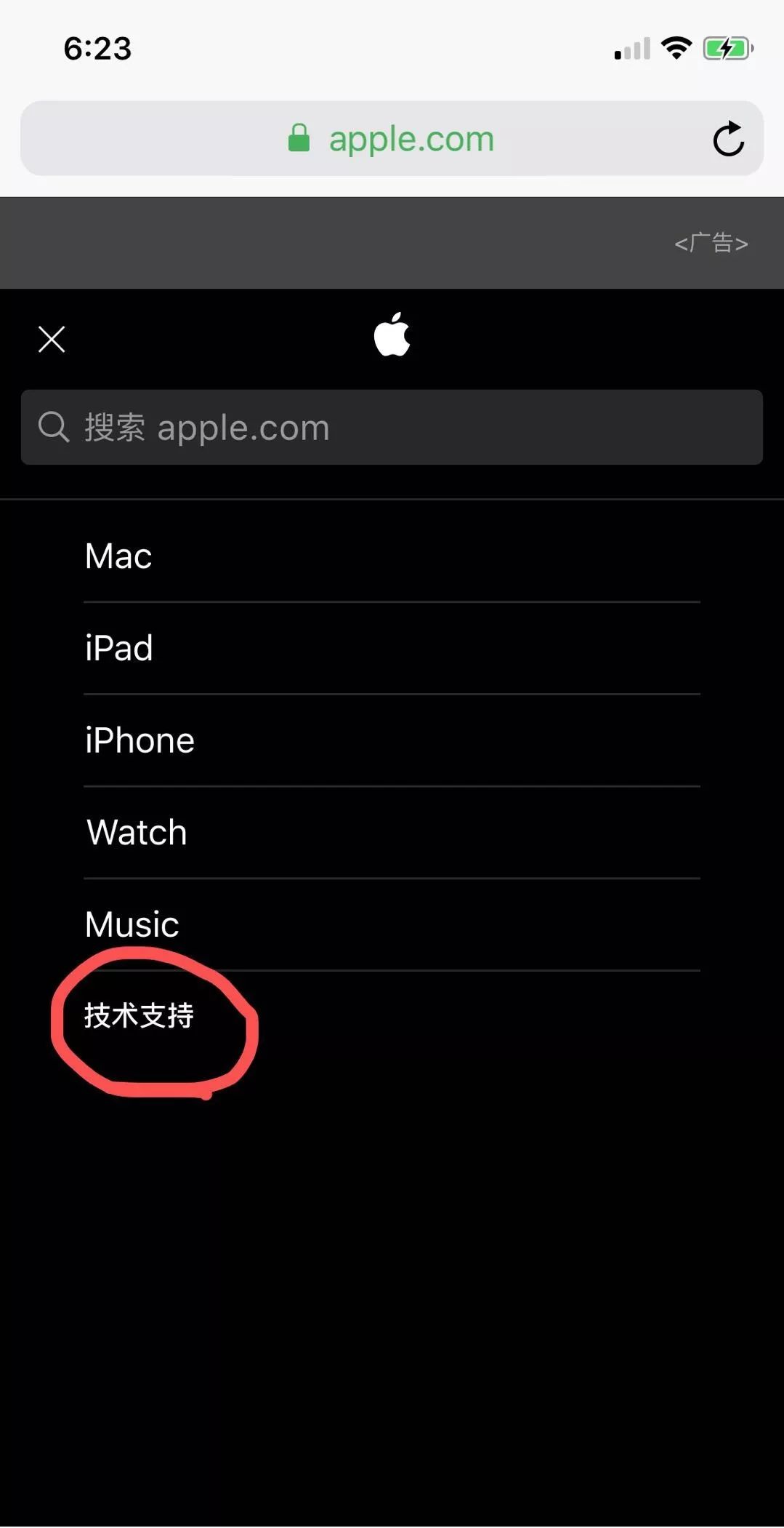 探索新澳门官方网站，苹果手机版浏览器下载与安装指南新澳门官方网站浏览器下载安装苹果手机版